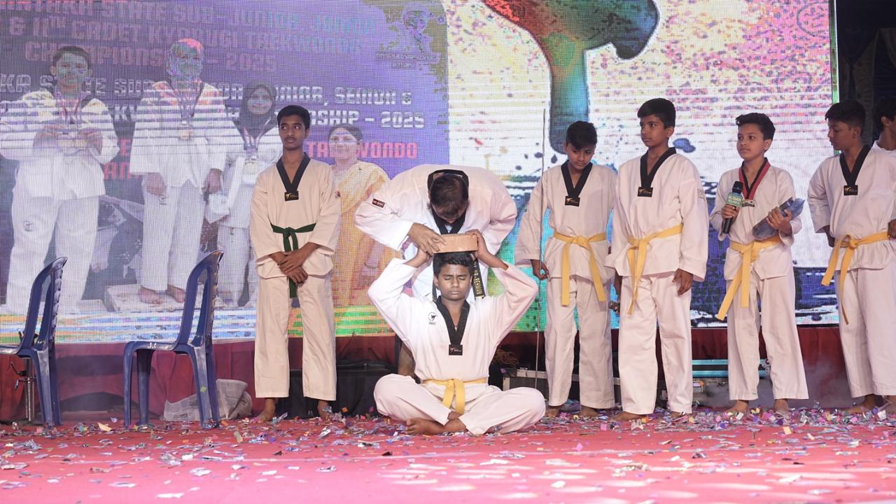Taekwondo board-breaking display on stage